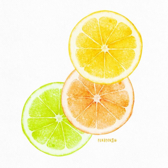Citrus slices - image 2 - student project