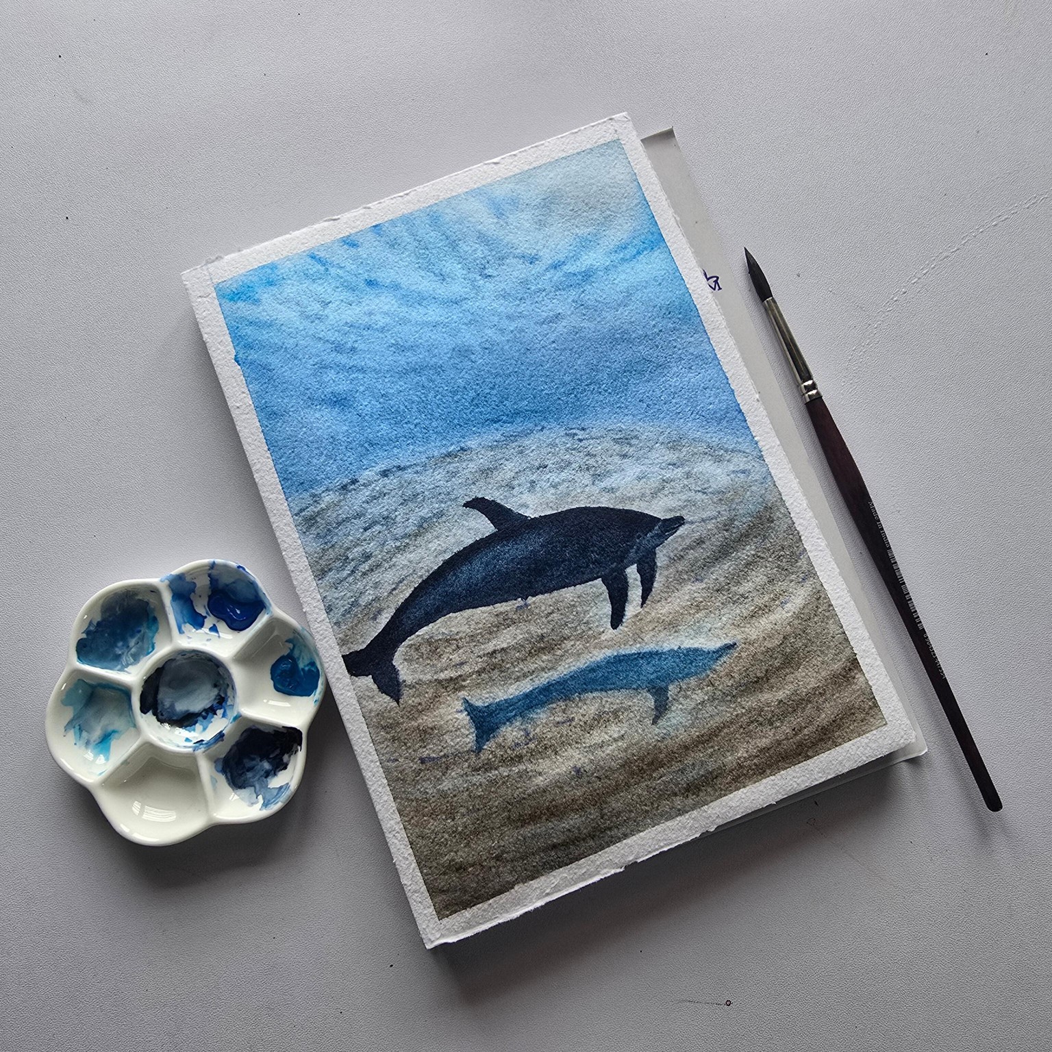 Dolphin by the seabed - image 1 - student project