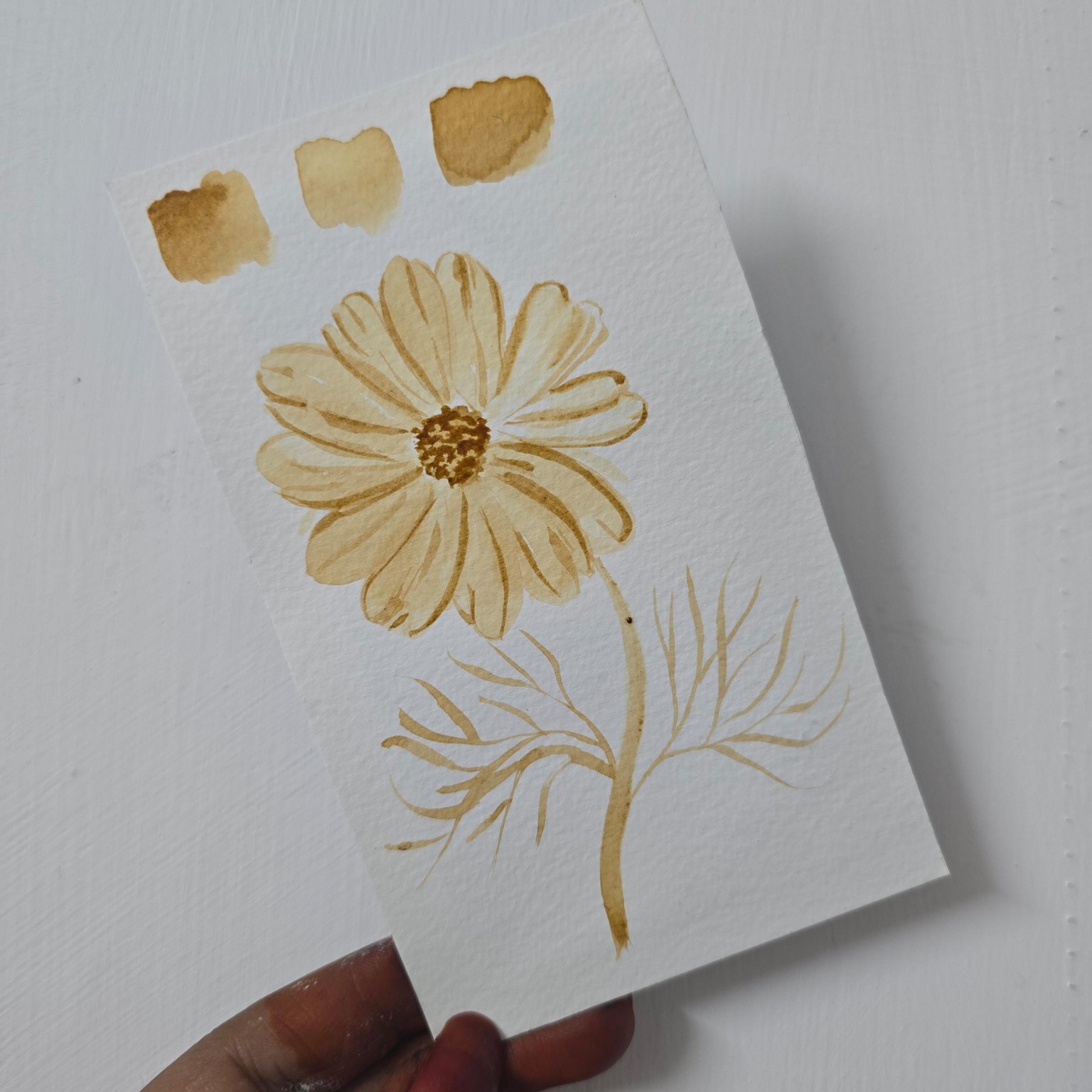 Cosmos - image 1 - student project
