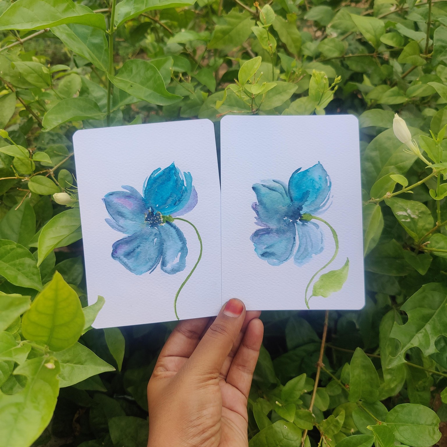 Priya viji - image 6 - student project