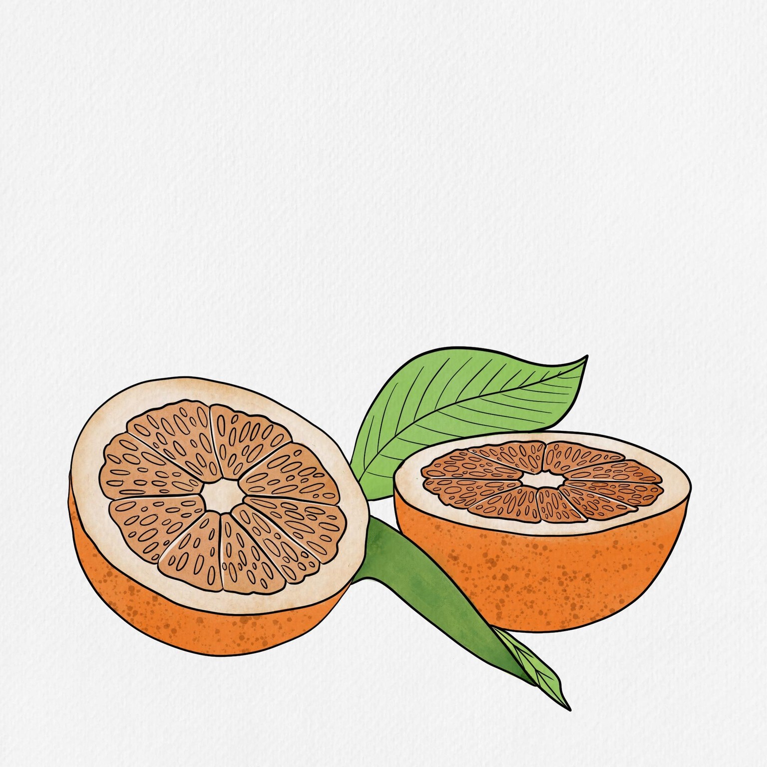 Tropical watercolour fruits - image 1 - student project