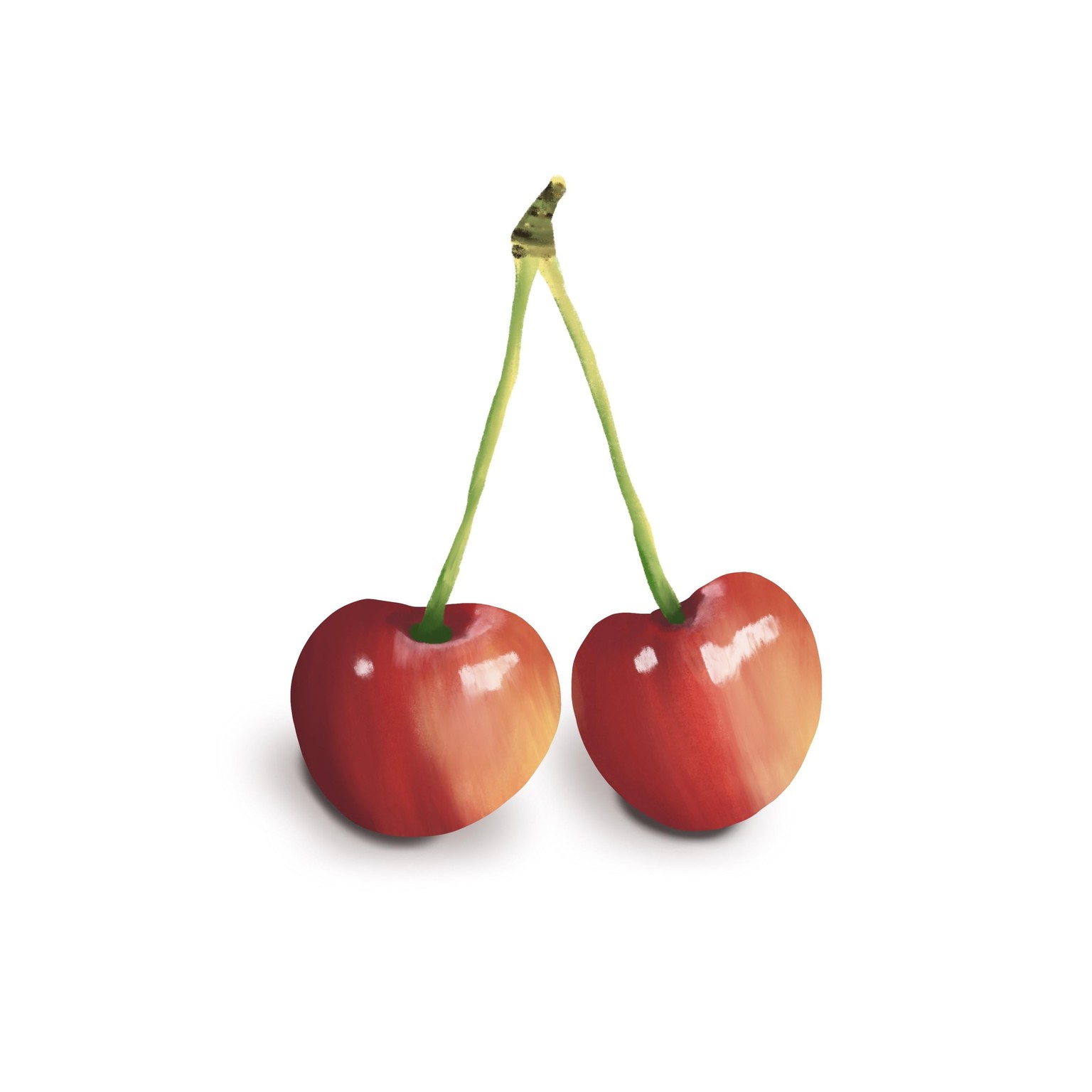 Delicious Fruits in Procreate - image 6 - student project