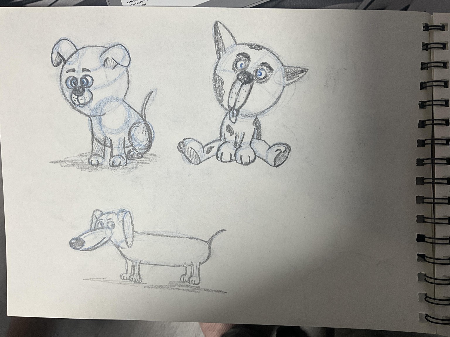 Cartoony animal’s - image 3 - student project