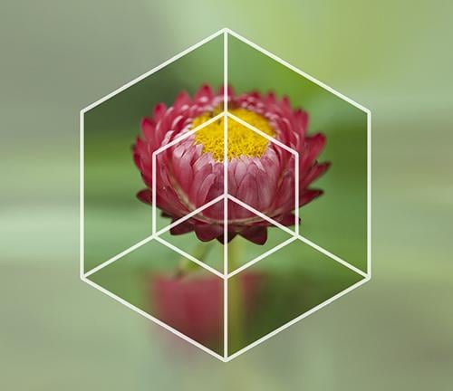 Photoshop: geometric overlays - image 5 - student project