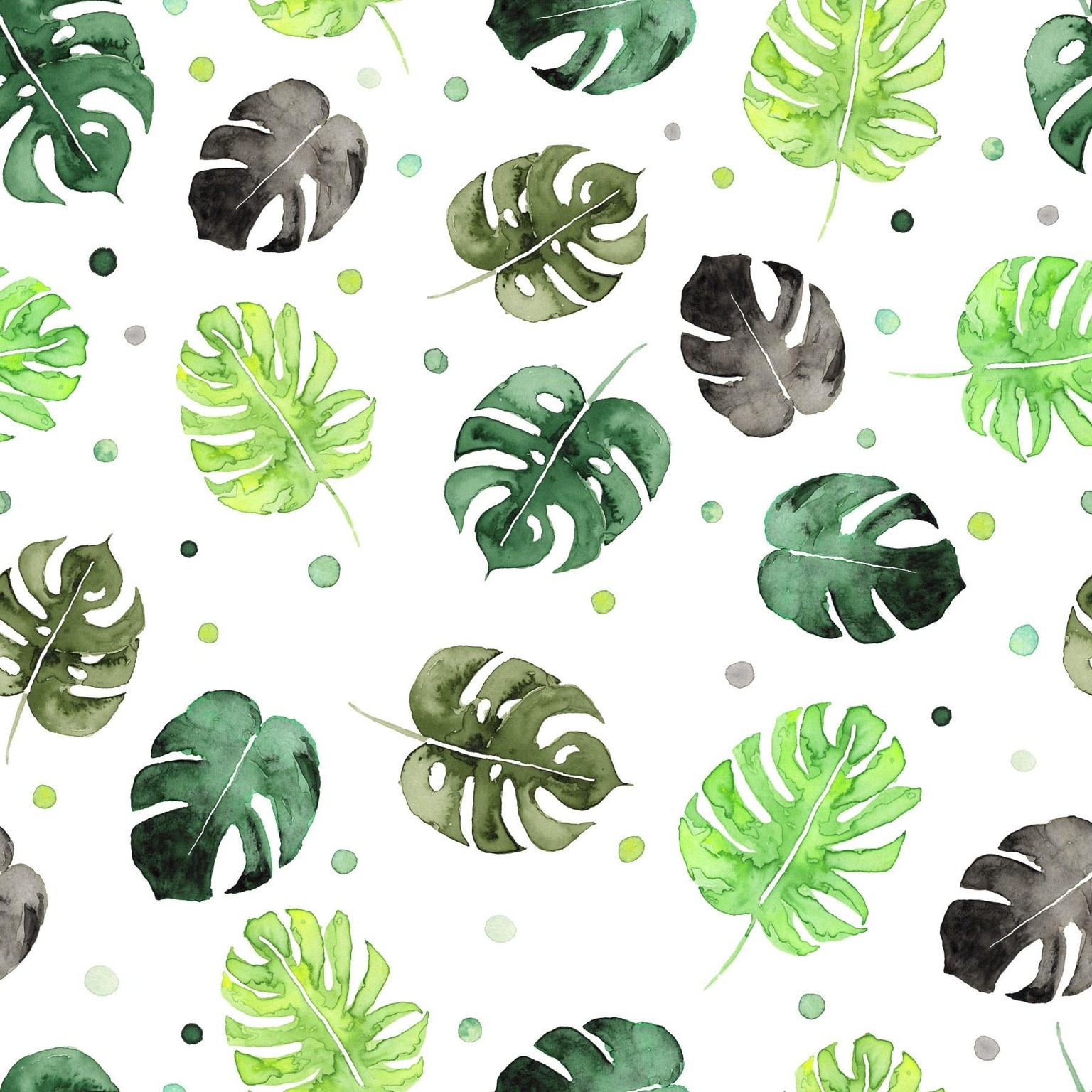 Monstera Bubble - image 1 - student project