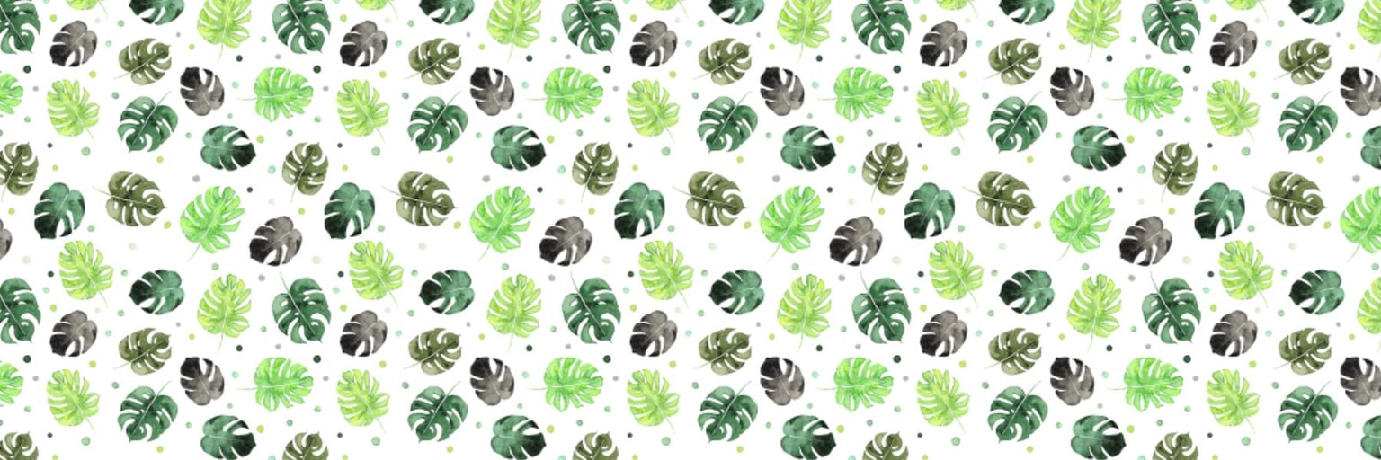 Monstera Bubble - image 2 - student project