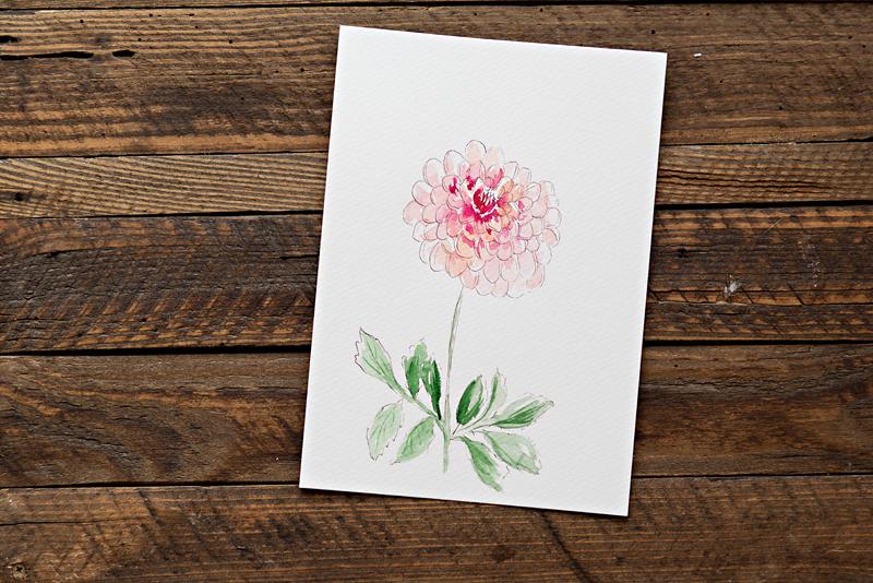 Dahlias - image 2 - student project