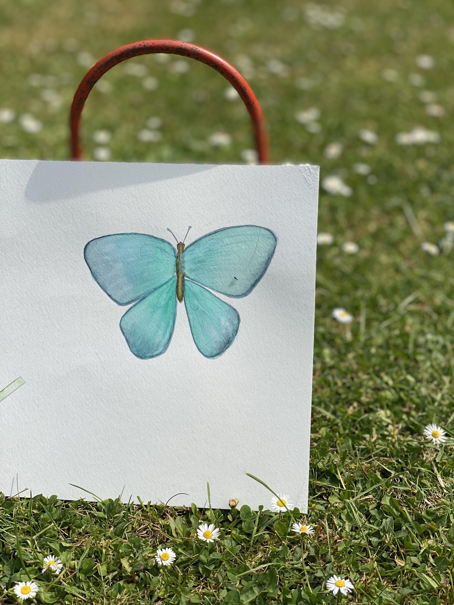 Butterfly - image 1 - student project