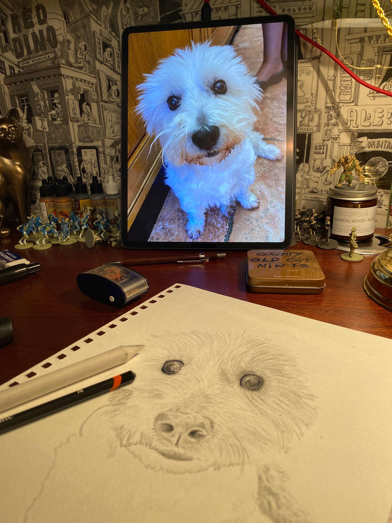 Furry dog - image 2 - student project