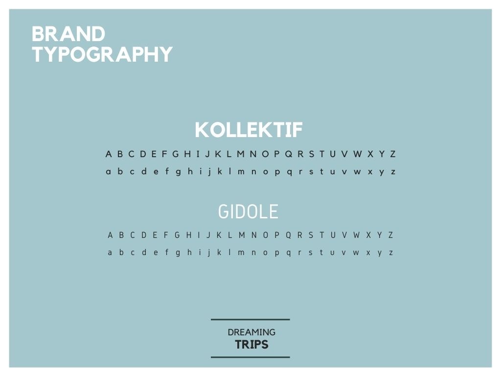 Brand Style Guide - image 13 - student project