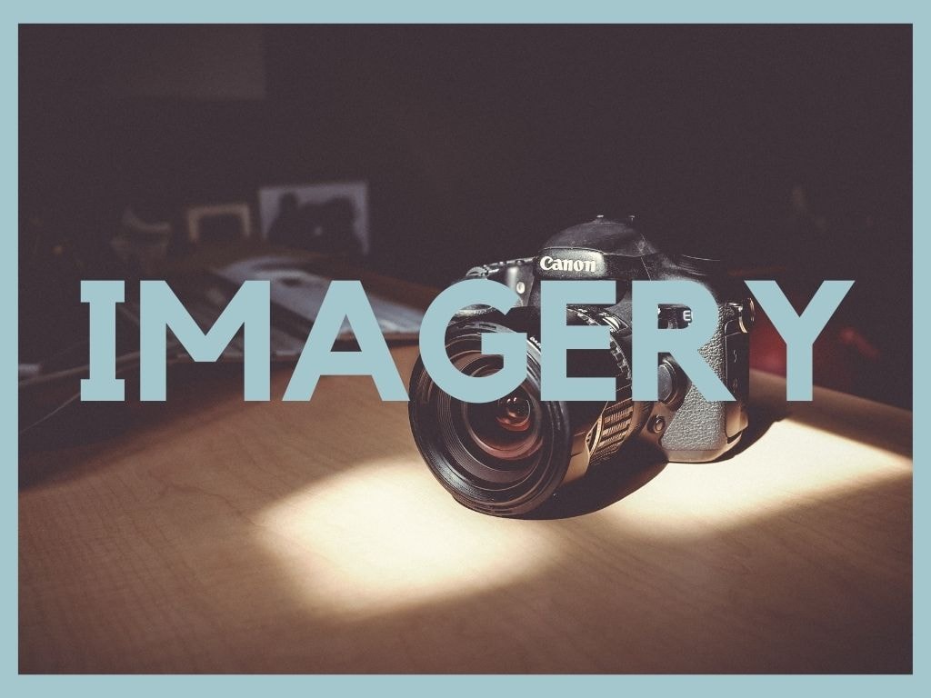 Brand Style Guide - image 14 - student project