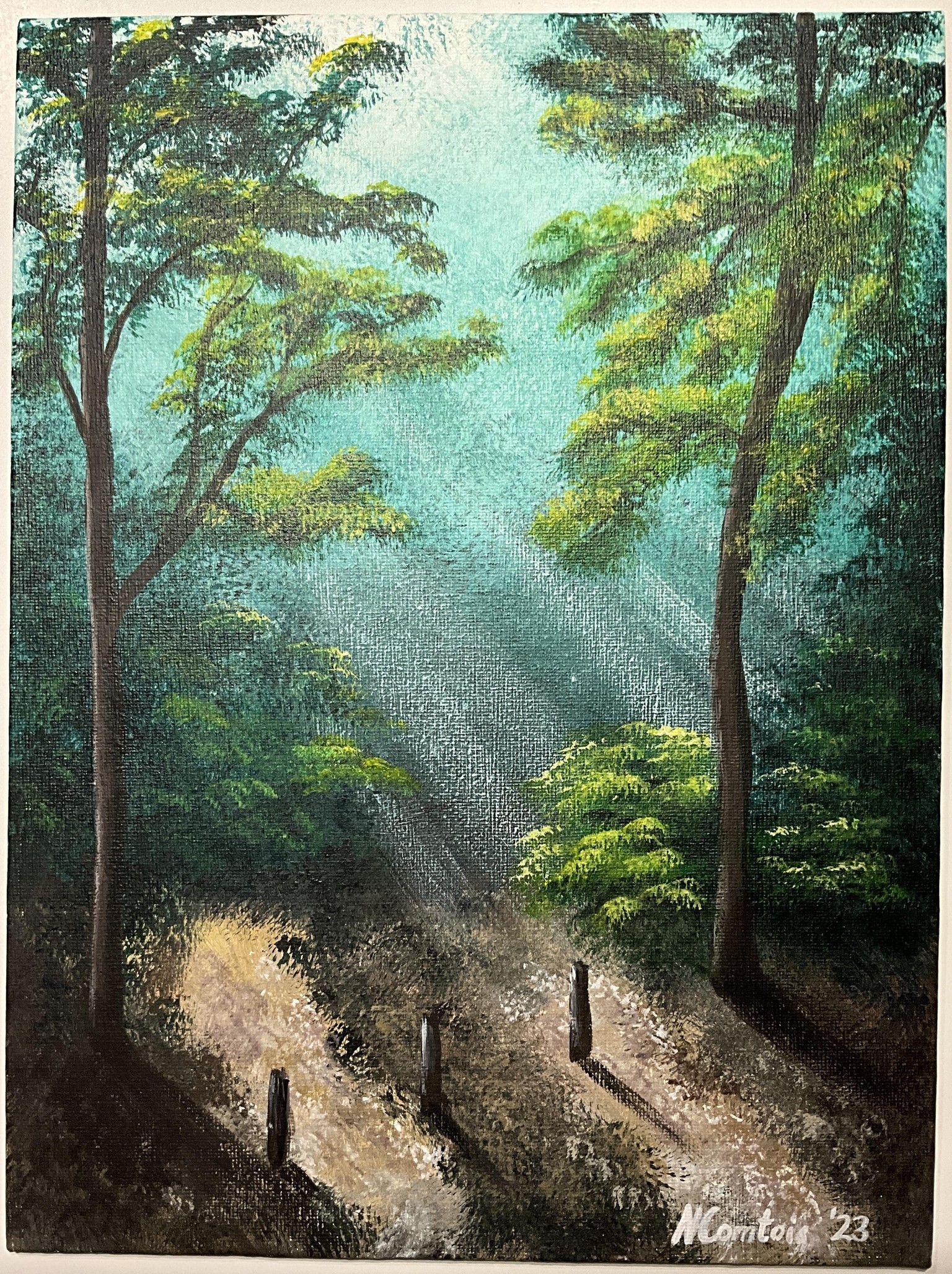 Sunrays In Forest - image 1 - student project