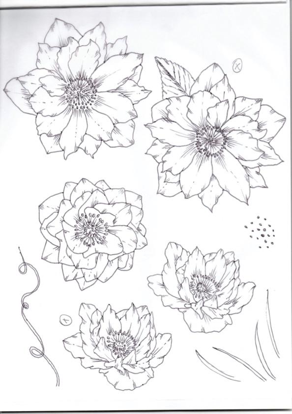 WINTER ROSE - image 1 - student project