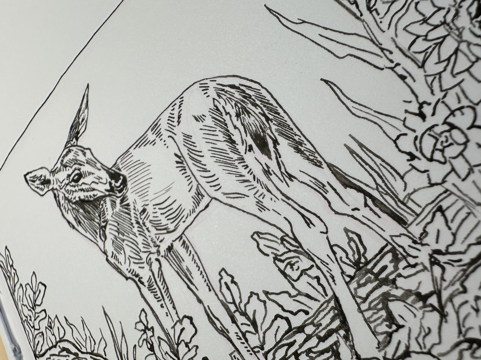Dip Pens for Realistic Drawing - image 2 - student project