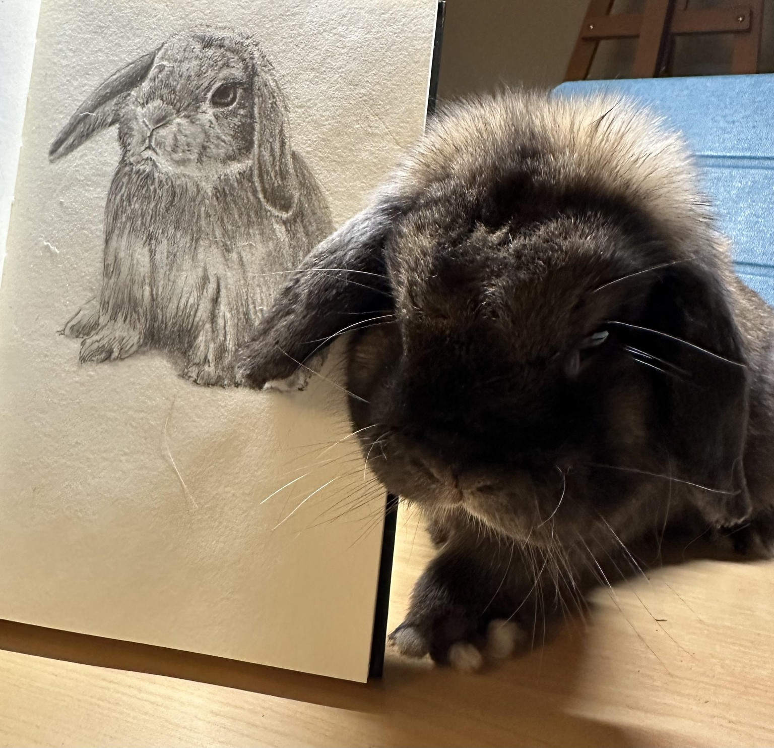 Drawing Fur - image 2 - student project