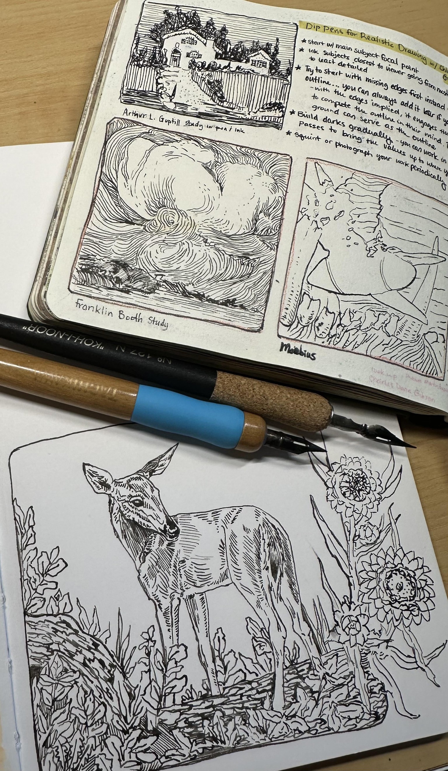 Dip Pens for Realistic Drawing - image 1 - student project