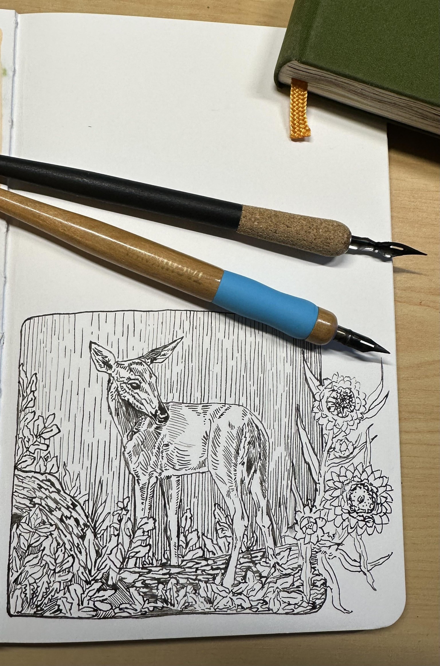 Dip Pens for Realistic Drawing - image 3 - student project