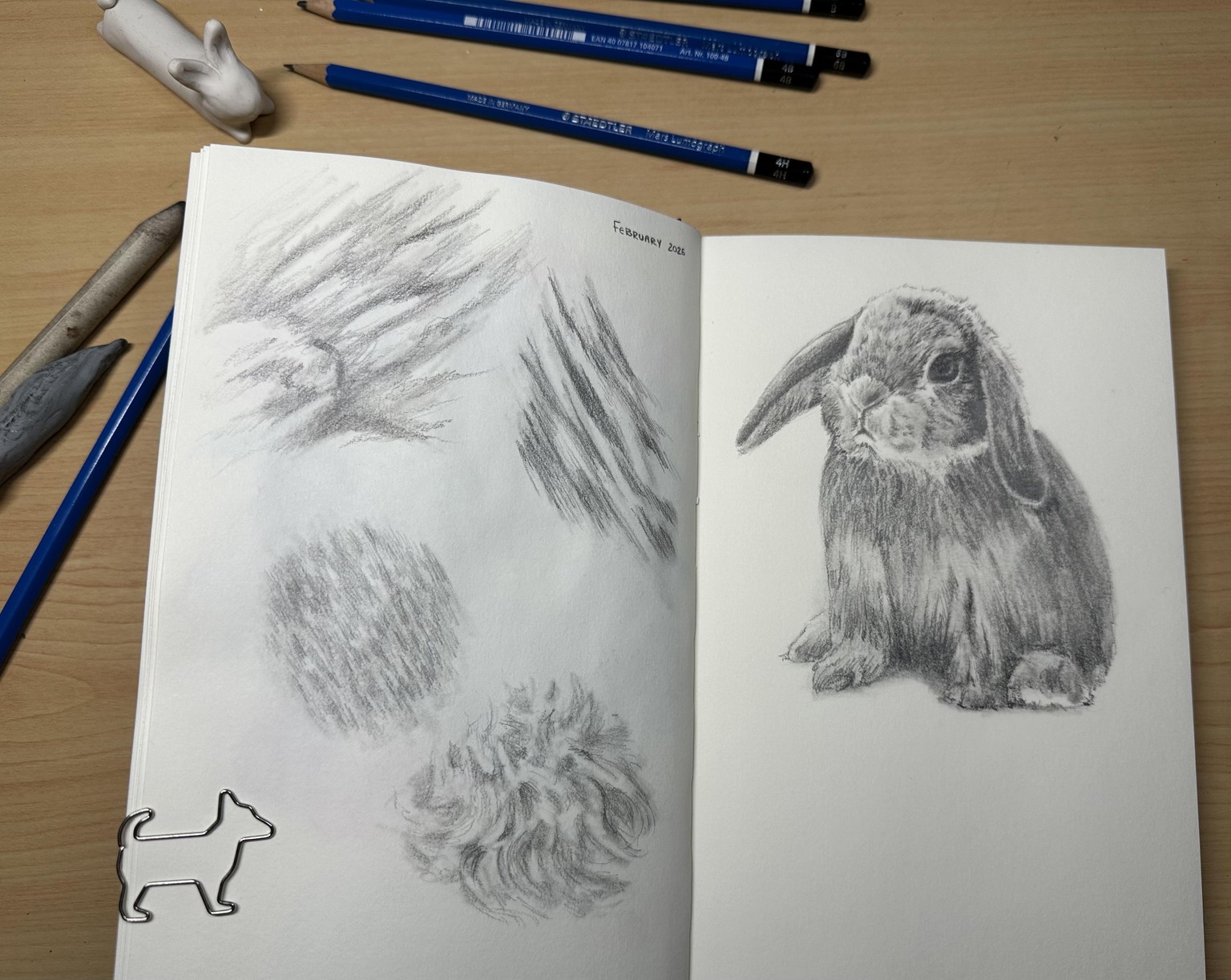 Drawing Fur - image 1 - student project