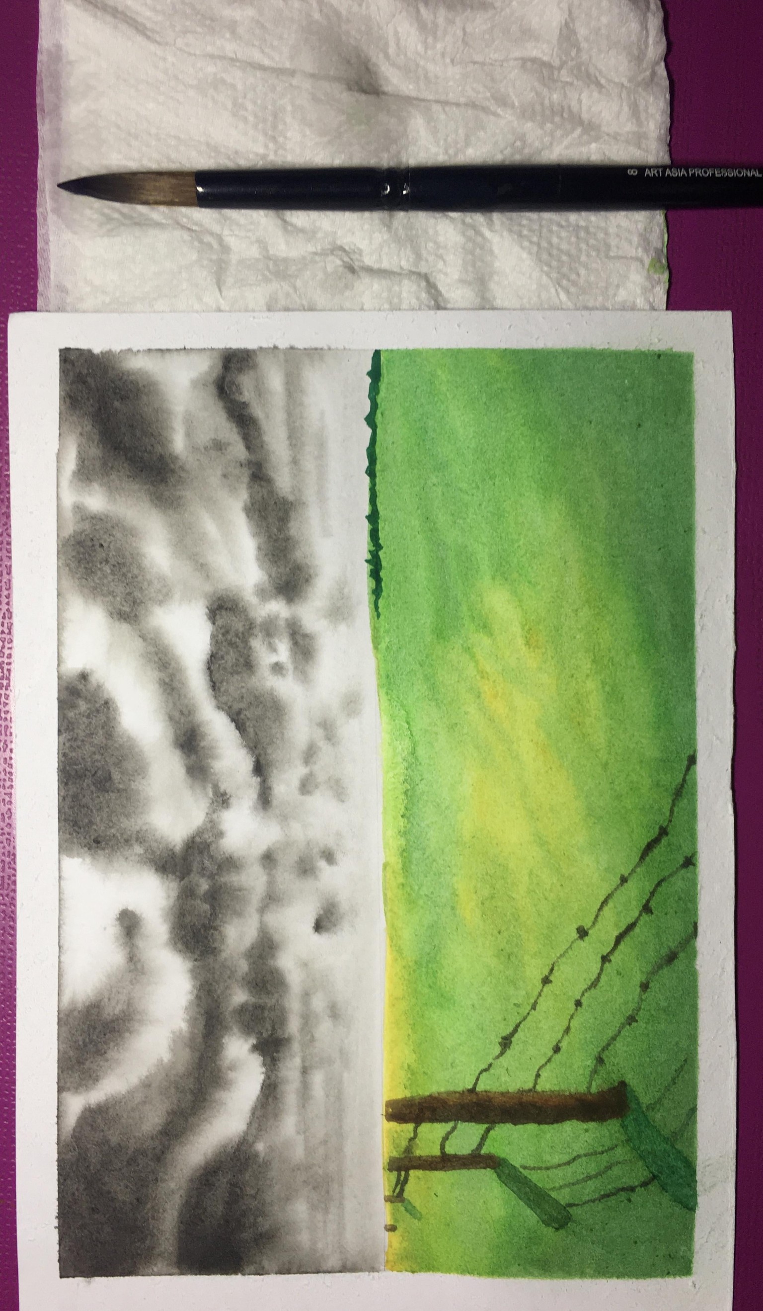 Project II cloudy landscape - image 1 - student project
