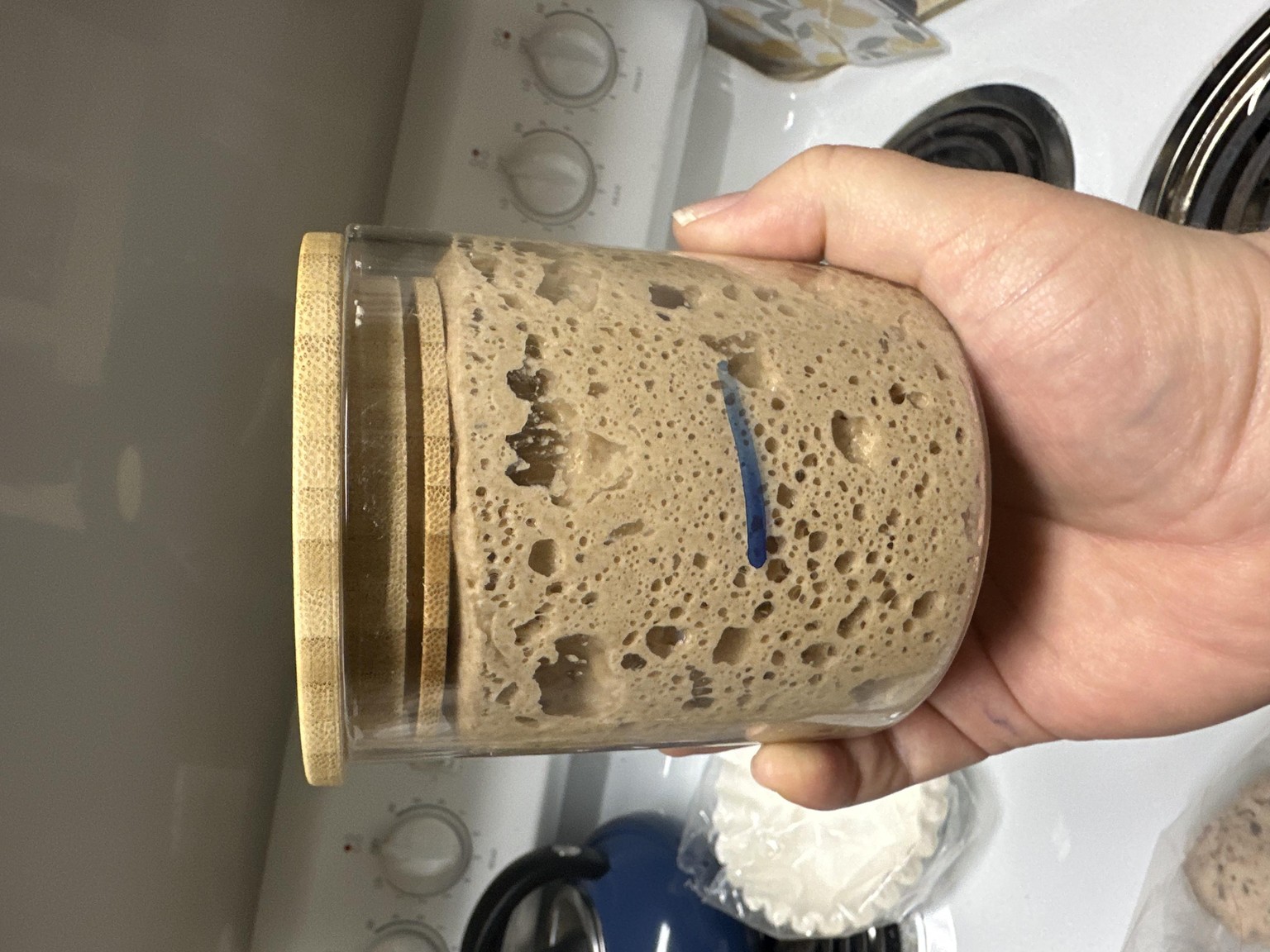 Sourdough Starter - image 2 - student project