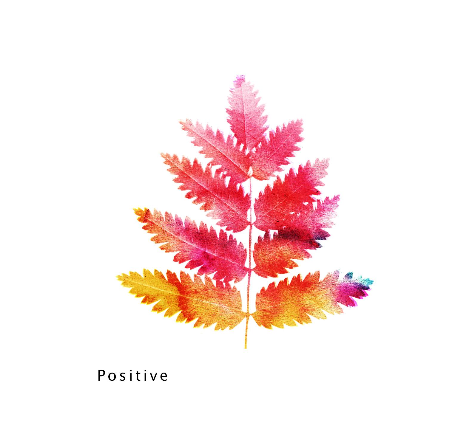 MakeBrush Positive / Negative - image 1 - student project