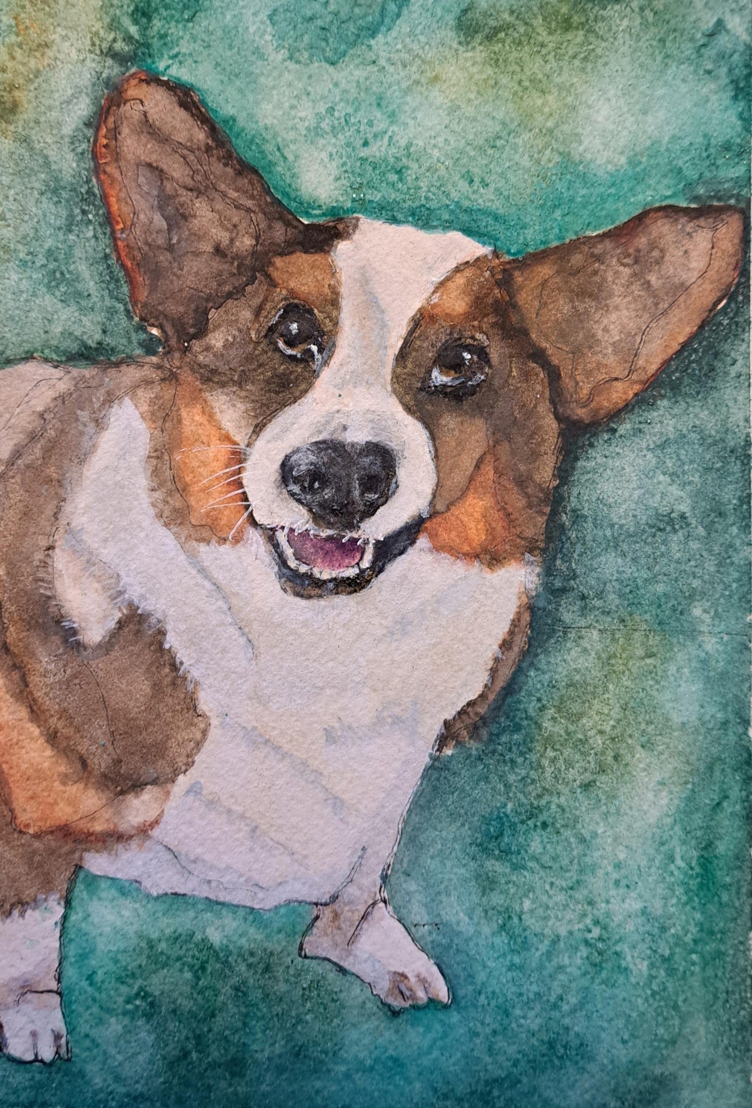 Sammy the Corgi - image 1 - student project