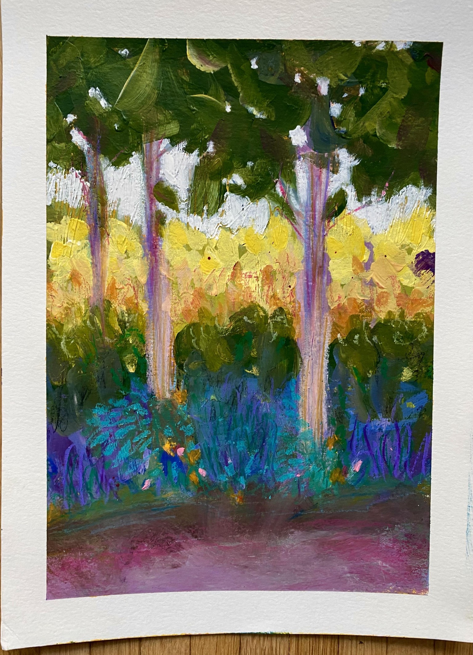 Backlit Trees/Forest - image 1 - student project
