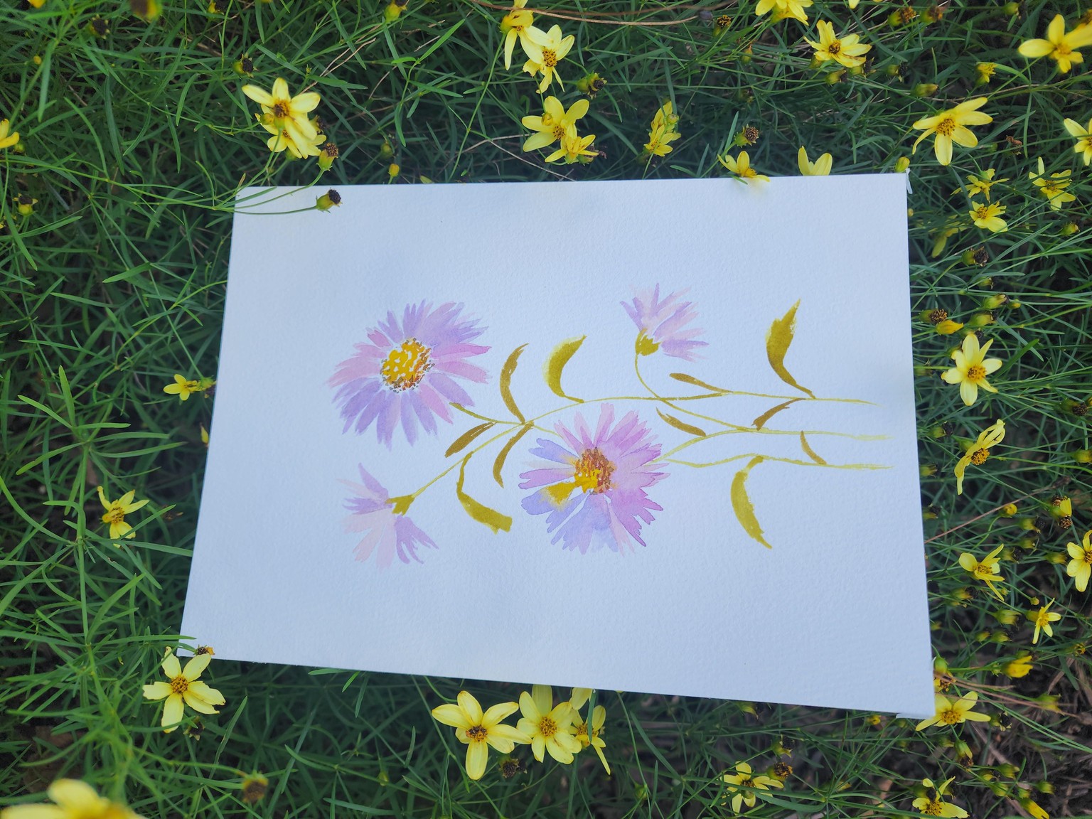 My flowers! - image 1 - student project