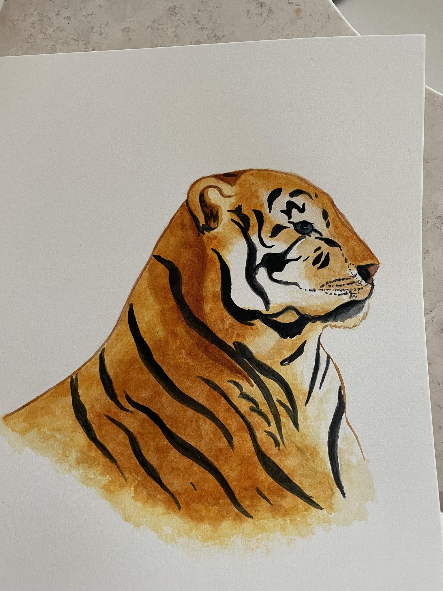 Teresa’s Lion - image 1 - student project