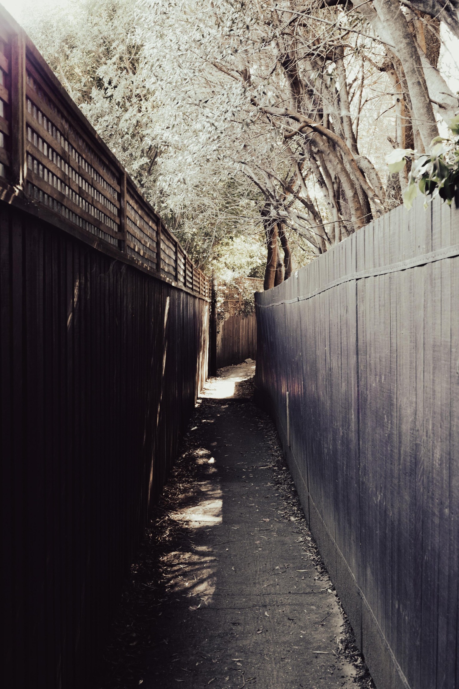 MyHood - image 4 - student project