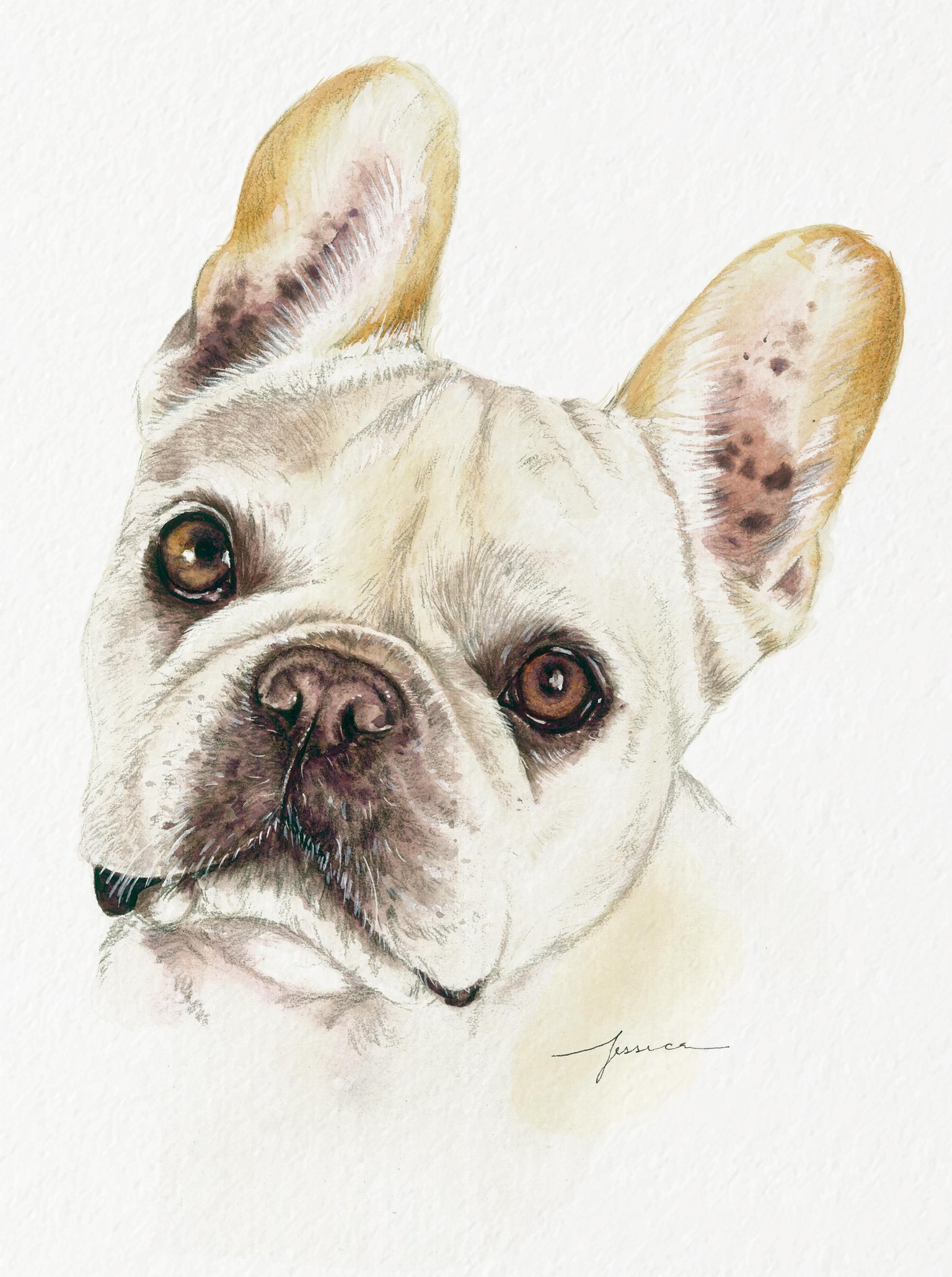 Dog Pawtraits - image 1 - student project