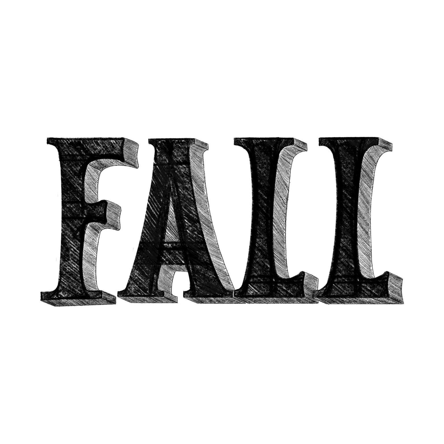 Wood type - image 2 - student project