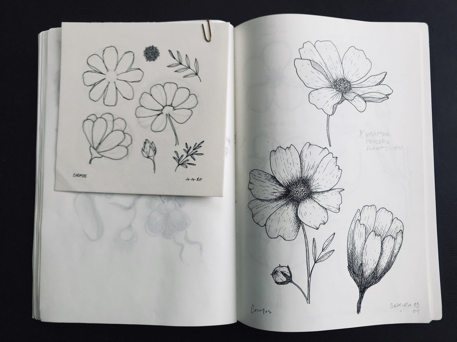 Floral Illustration pt 2 - image 1 - student project