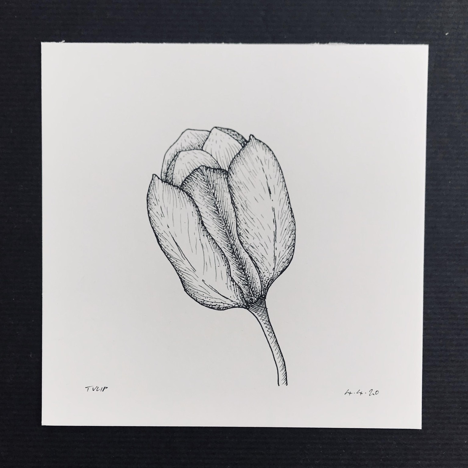 Floral Illustration pt 1 - image 5 - student project