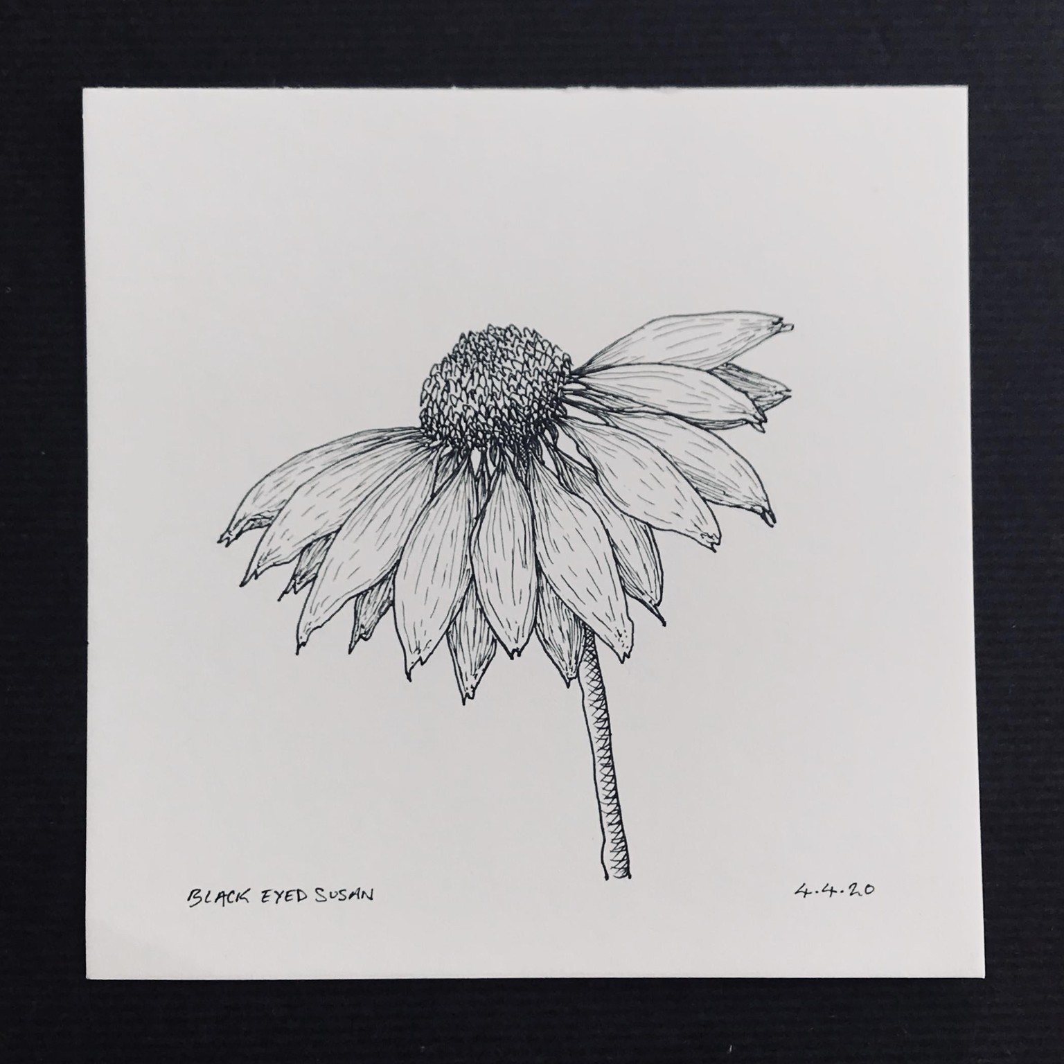 Floral Illustration pt 1 - image 1 - student project