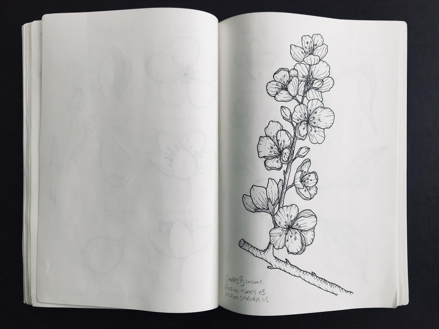 Floral Illustration pt 2 - image 2 - student project