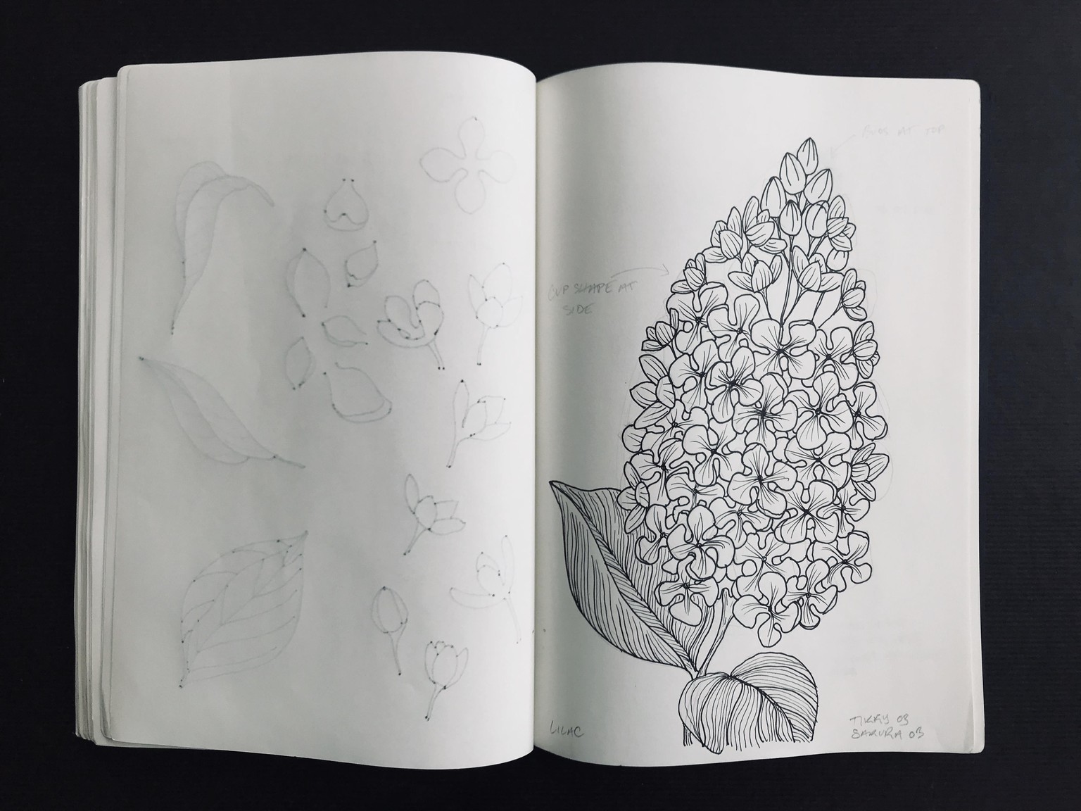 Floral Illustration pt 2 - image 3 - student project