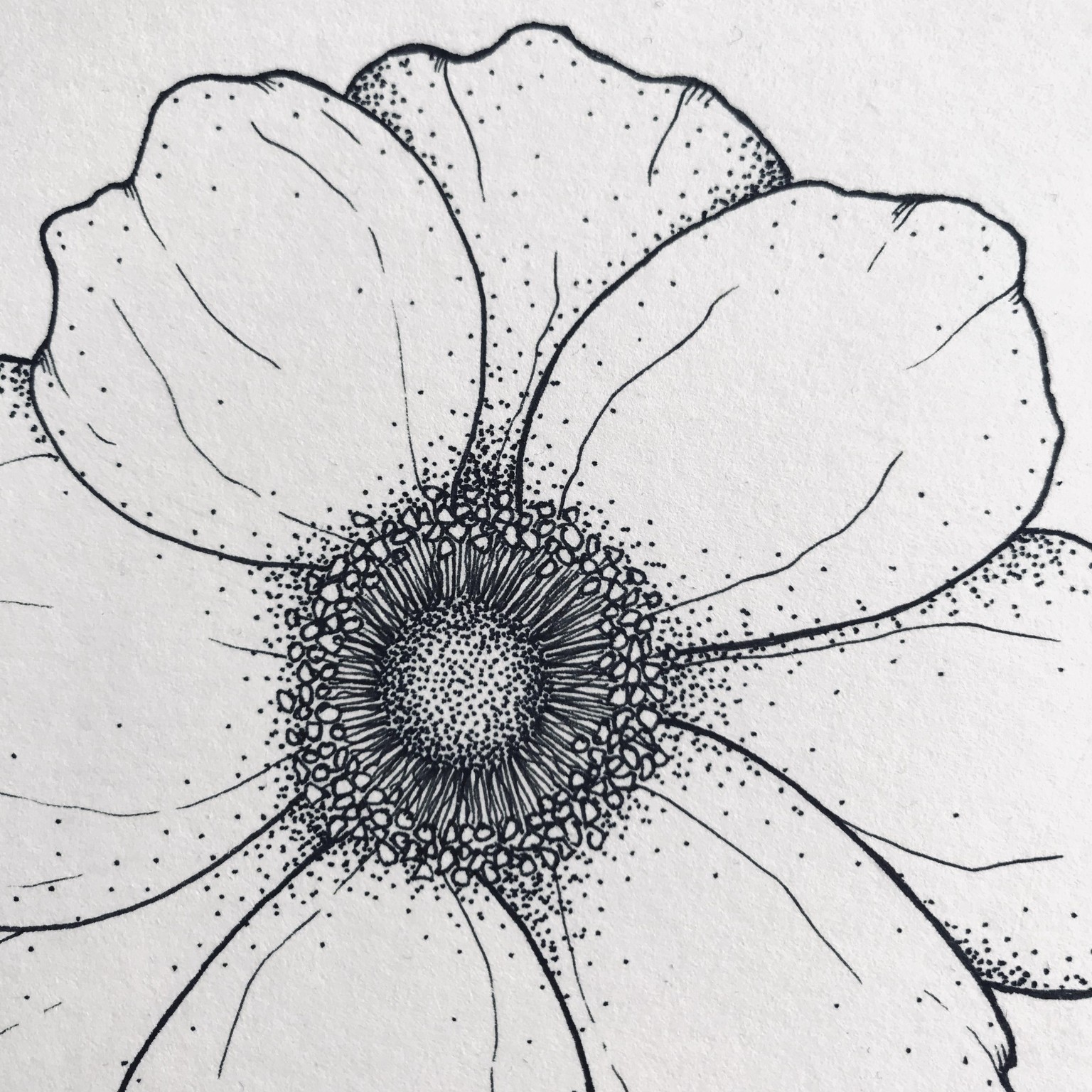 Floral Illustration pt 1 - image 4 - student project