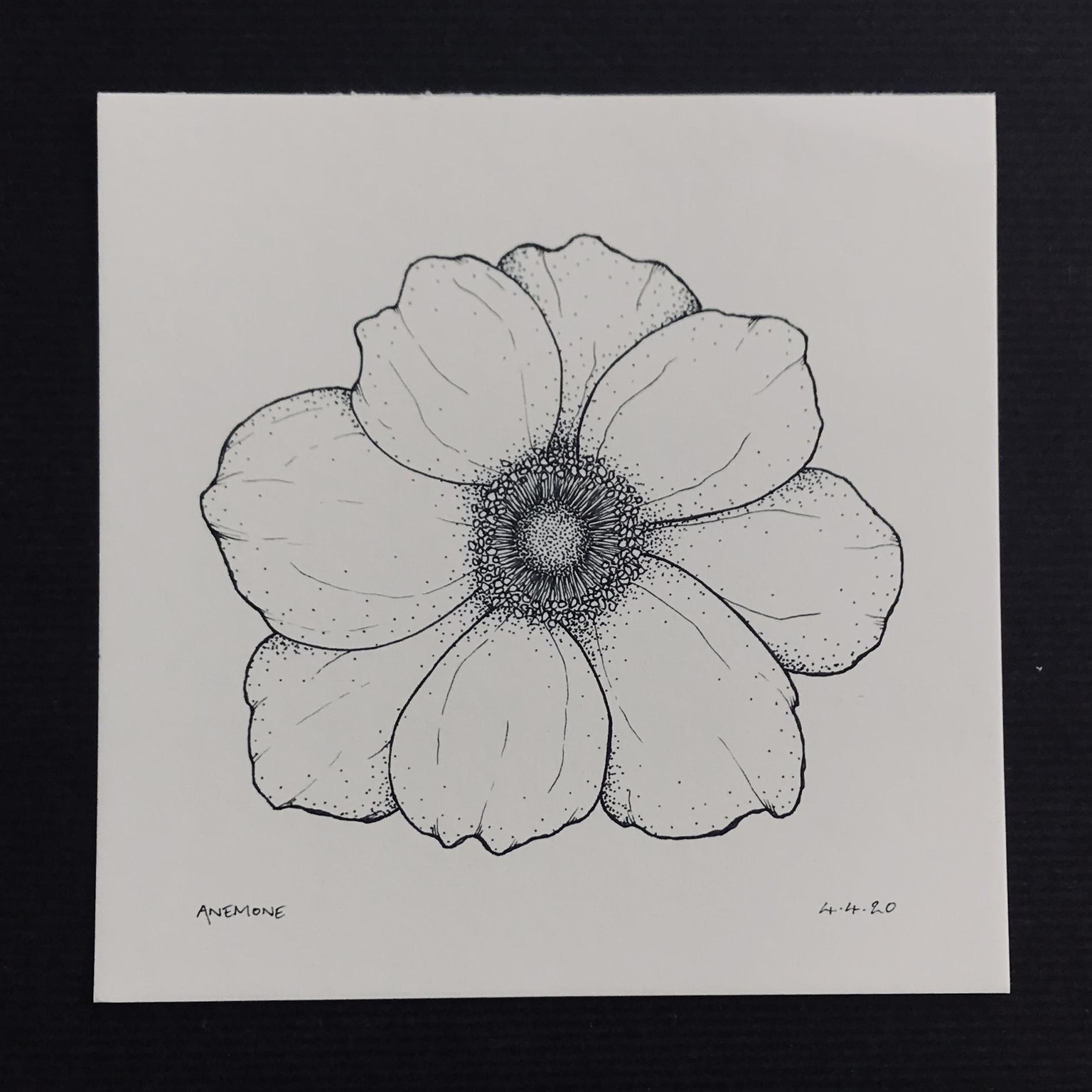 Floral Illustration pt 1 - image 3 - student project