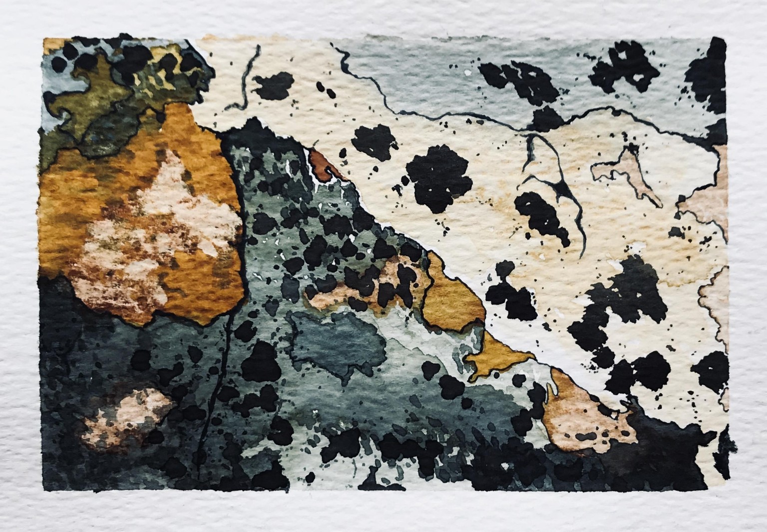 Natural textures with watercolour - image 1 - student project