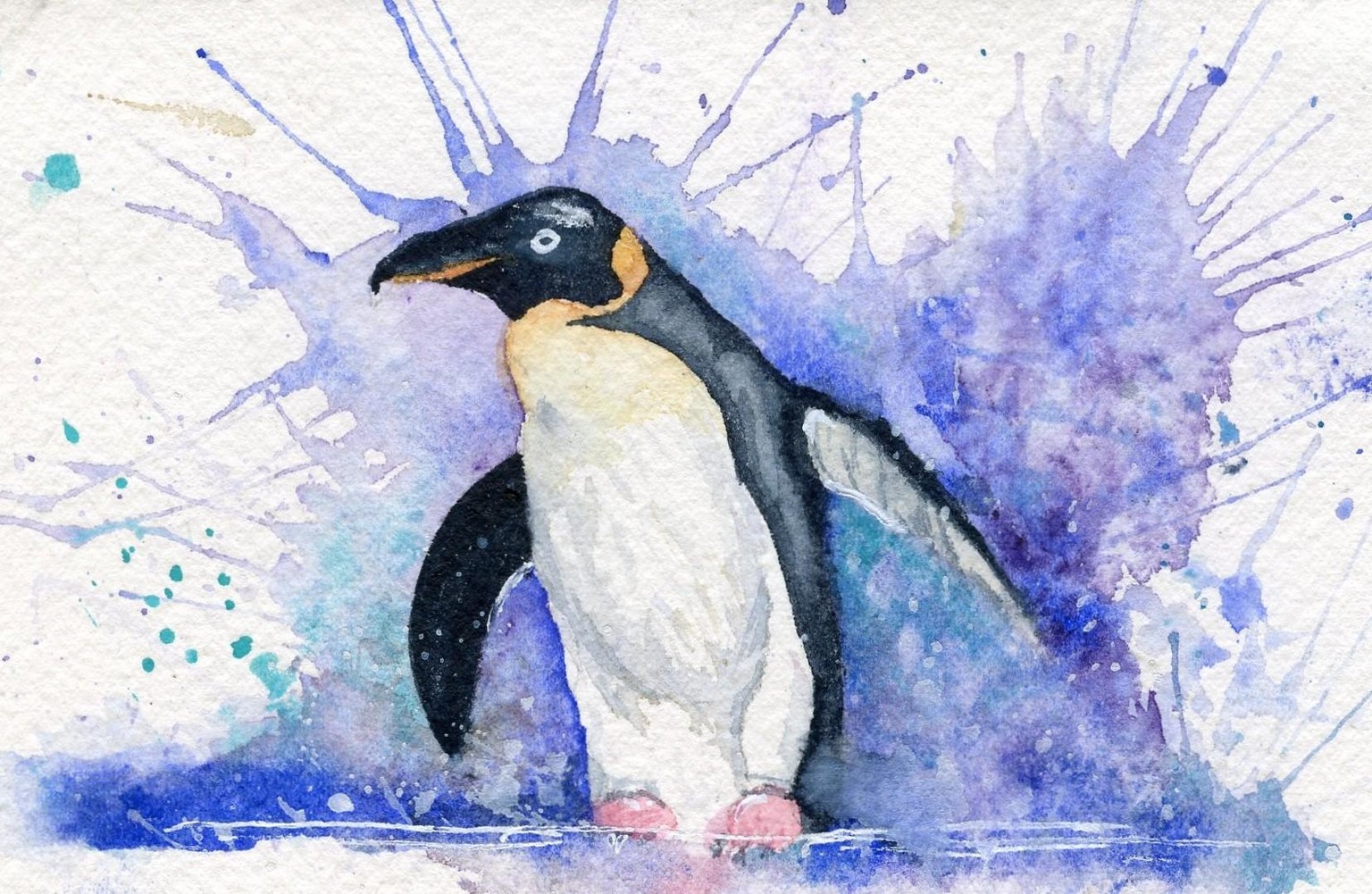 Penguin - This was really fun to play around with! - image 1 - student project