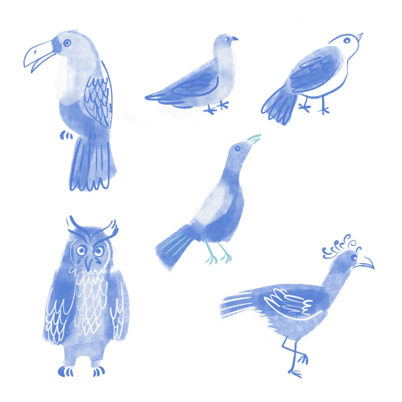 10 days of birds - image 2 - student project
