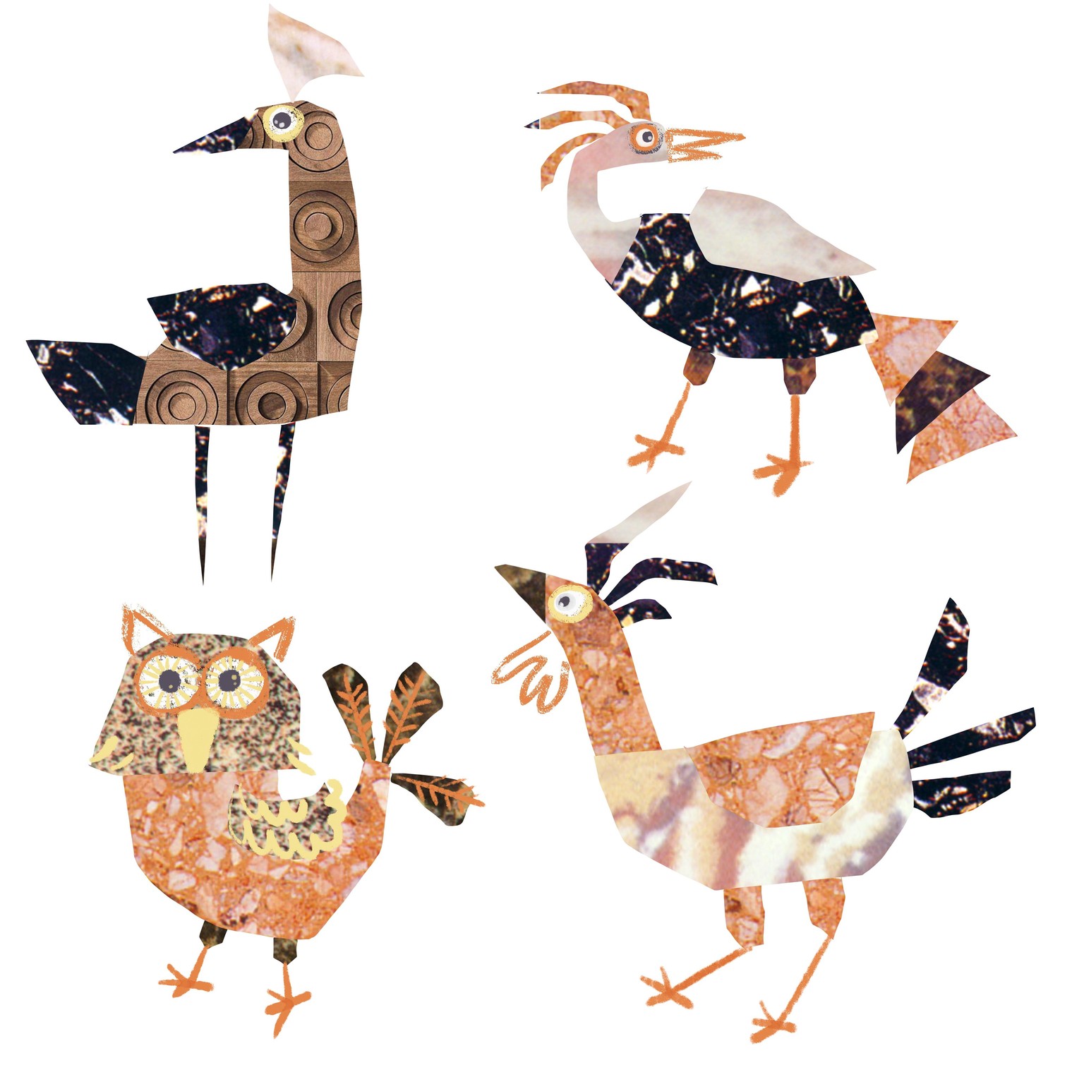 10 days of birds - image 7 - student project