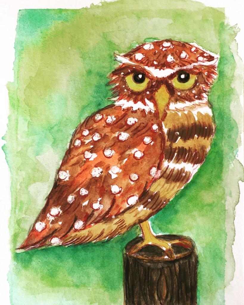 Watecolour Burrowing Owl - image 1 - student project