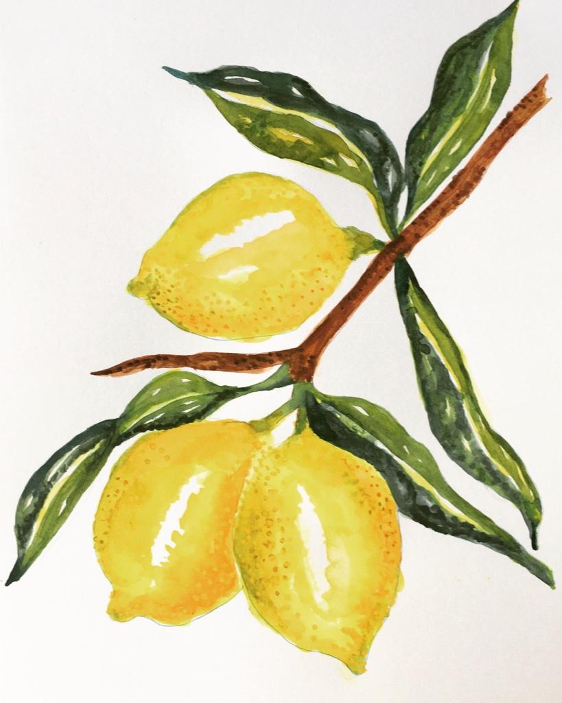 Watercolour Lemons - image 1 - student project