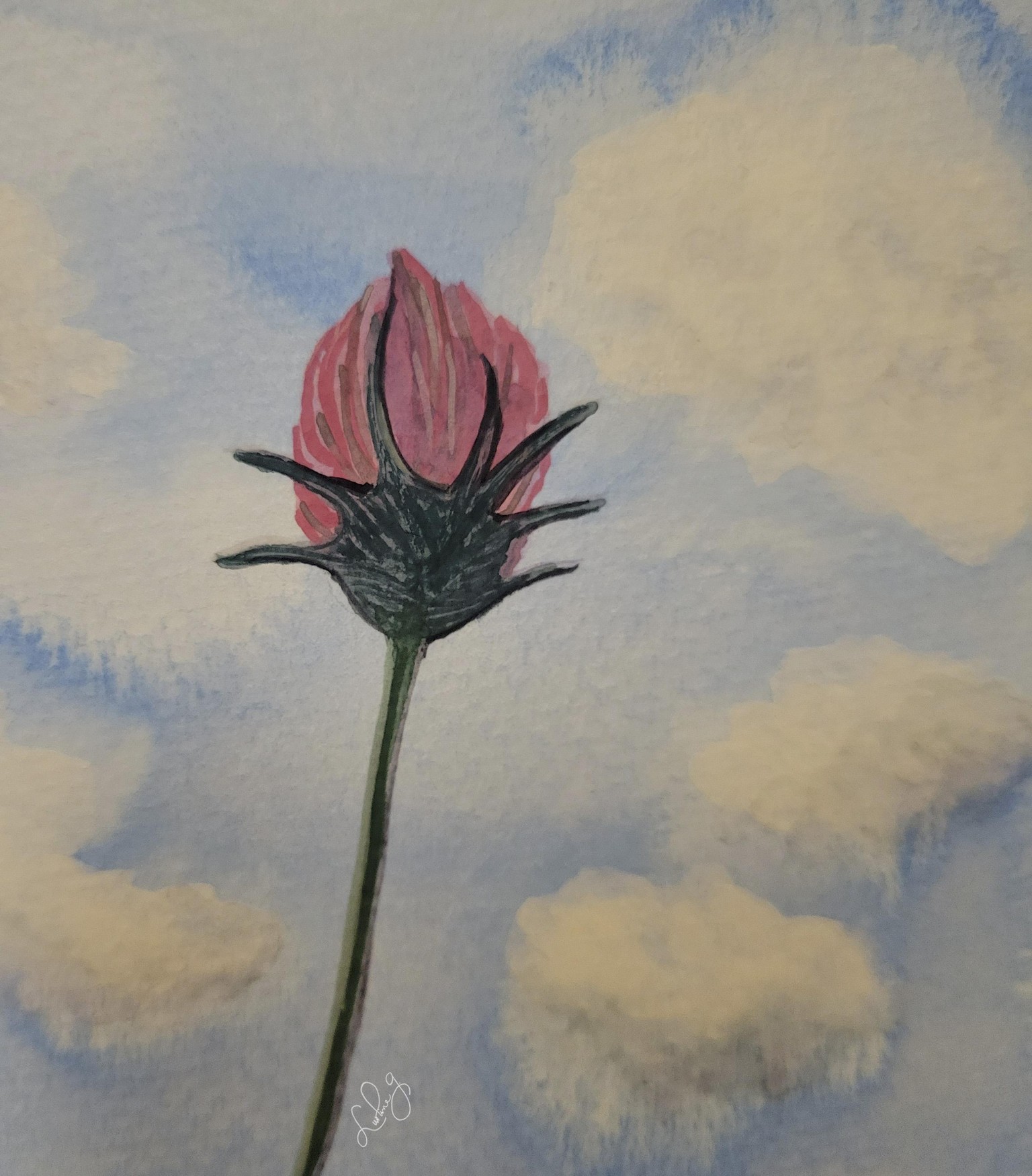 Summer's Cosmos - image 1 - student project