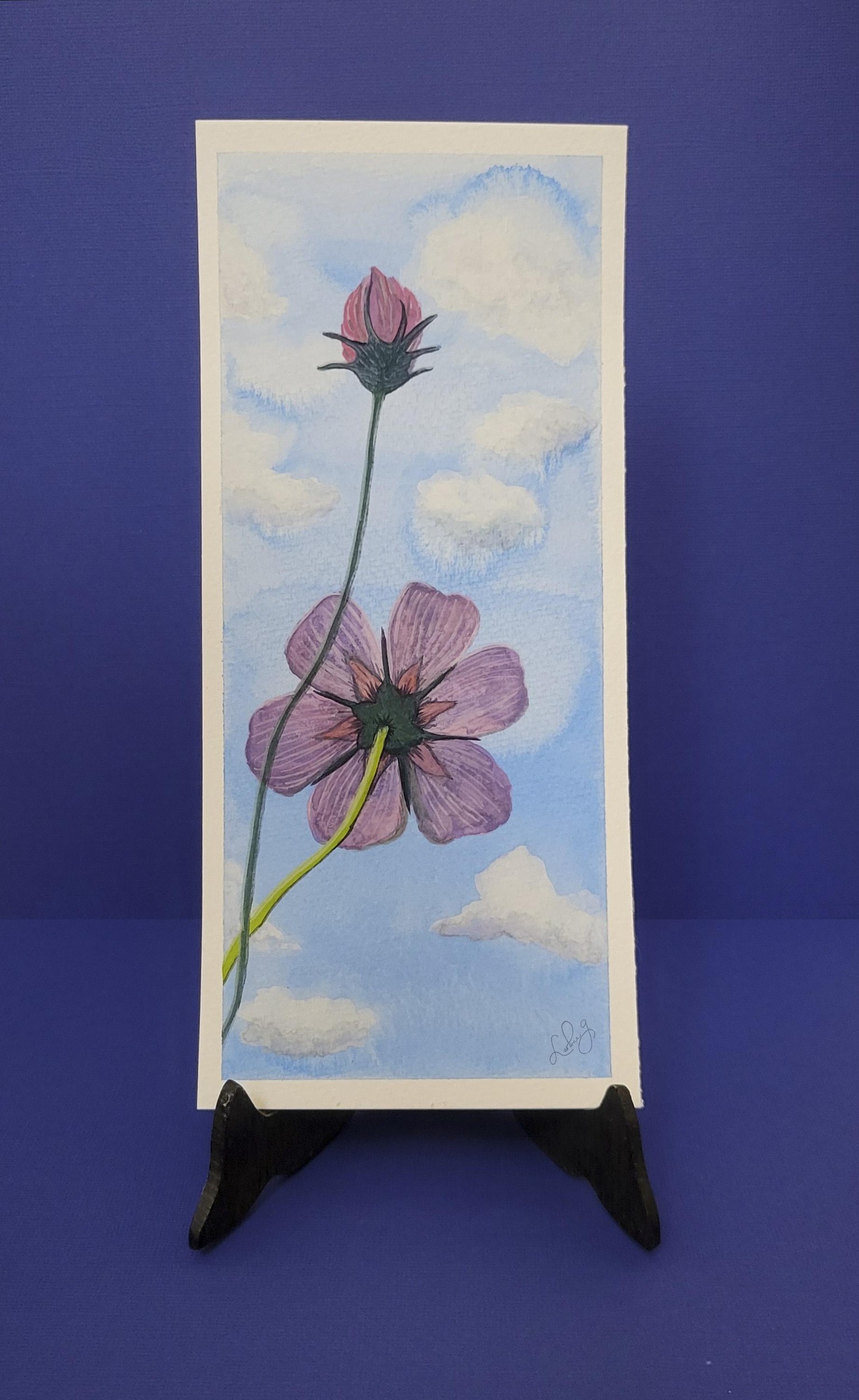 Summer's Cosmos - image 3 - student project