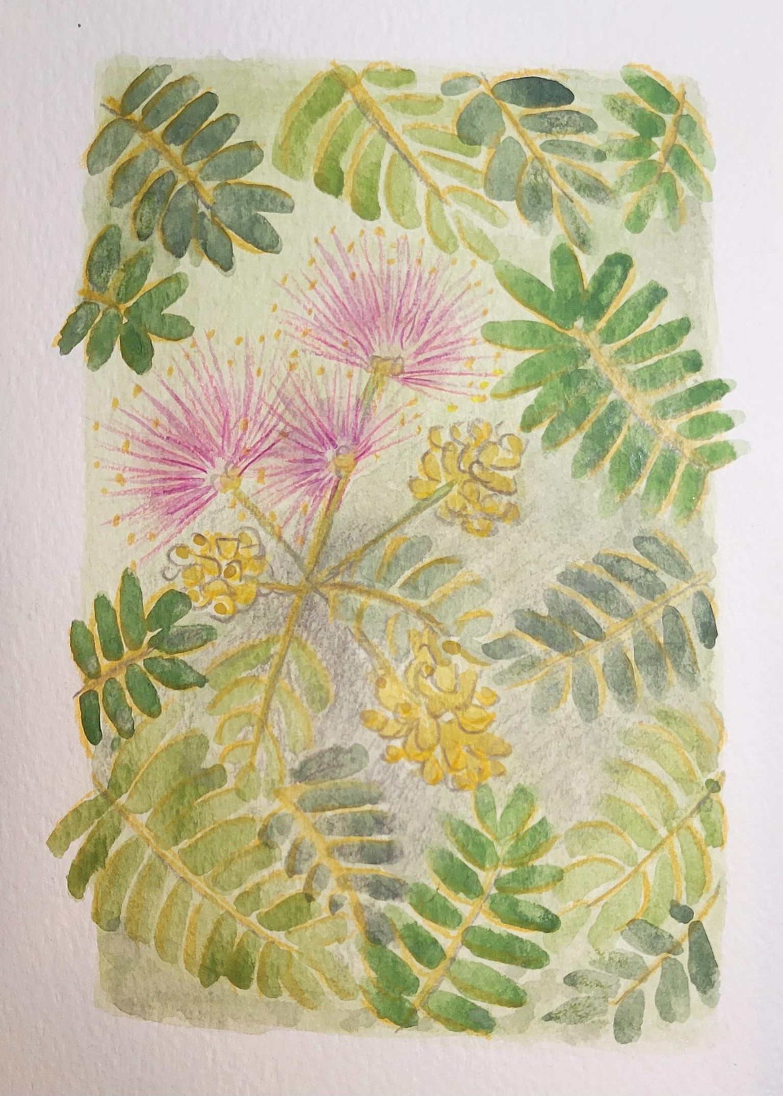 vintage flowers on backgrounds - image 3 - student project