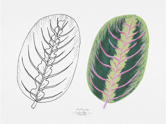 Tropical Leaves in Gouache - image 4 - student project