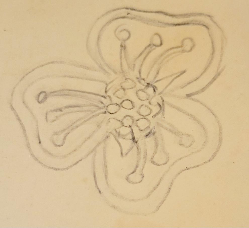 Blue Anemone - image 1 - student project